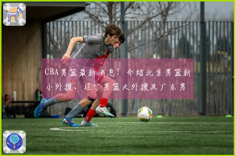 CBA男篮最新消息！介绍北京男篮新小外援、辽宁男篮大外援及广东男篮新大外援的动态